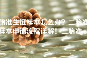 二胎准生证样本怎么办？二胎准生证样本申请流程详解！二胎准生证样本办理指南！二胎准生证样本申领条件大揭秘！