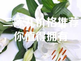 二陈丸价格推荐，你值得拥有