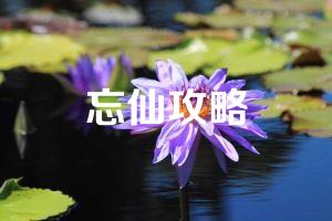 忘仙攻略