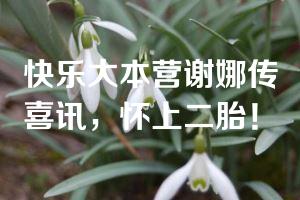 快乐大本营谢娜传喜讯，怀上二胎！