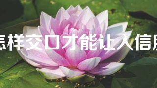 怎样交口才能让人信服
