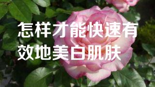 怎样才能快速有效地美白肌肤