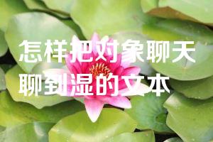 怎样把对象聊天聊到湿的文本