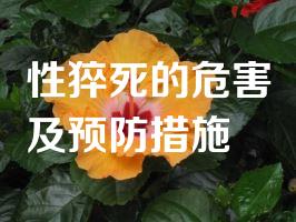 性猝死的危害及预防措施