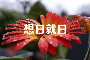 想日就日