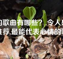 感伤的歌曲有哪些？,令人感动的歌曲推荐,最能代表心情的歌曲