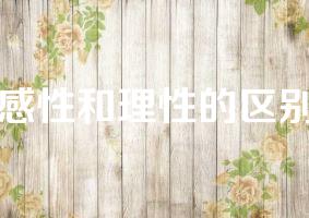 感性和理性的区别