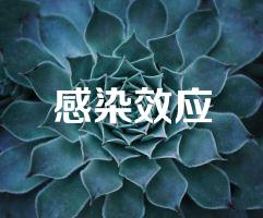 感染效应