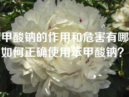 苯甲酸钠的作用和危害有哪些？如何正确使用苯甲酸钠？