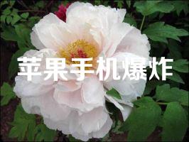 苹果手机爆炸