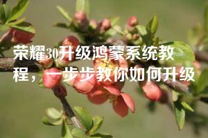 荣耀30升级鸿蒙系统教程，一步步教你如何升级