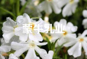蒙牛乳业