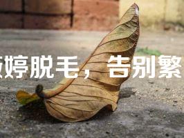 薇婷脱毛，告别繁琐