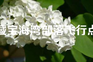 藏宝海湾部落飞行点