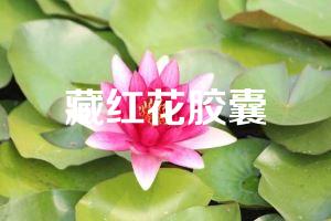 藏红花胶囊