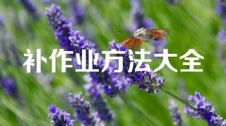 补作业方法大全