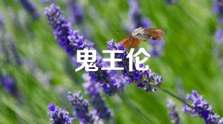 鬼王伦