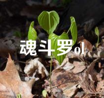 魂斗罗ol
