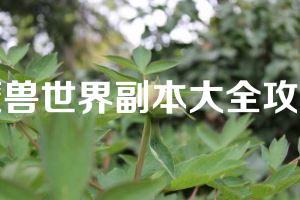 魔兽世界副本大全攻略