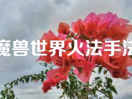 魔兽世界火法手法