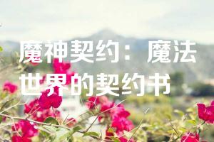 魔神契约：魔法世界的契约书