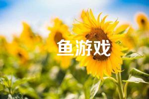 鮸鱼游戏