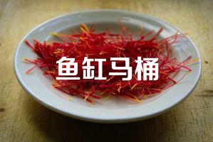 鱼缸马桶