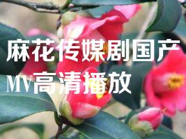 麻花传媒剧国产MV高清播放
