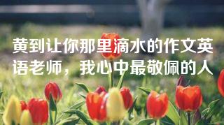 黄到让你那里滴水的作文英语老师，我心中最敬佩的人