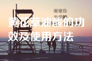 黄花草油酸的功效及使用方法