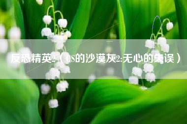 反恐精英2（CS的沙漠灰2:无心的失误）