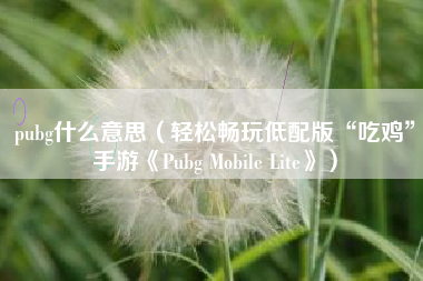 pubg什么意思（轻松畅玩低配版“吃鸡”手游《Pubg Mobile Lite》）