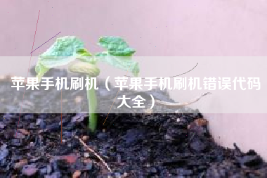 苹果手机刷机（苹果手机刷机错误代码大全）