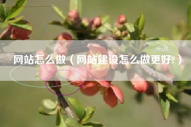 网站怎么做（网站建设怎么做更好?）