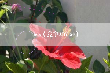bws（竞争ADV150）