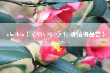 nba2k2o（《NBA 2K22》评测:值得品尝）