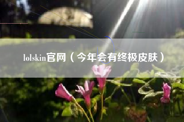 lolskin官网（今年会有终极皮肤）