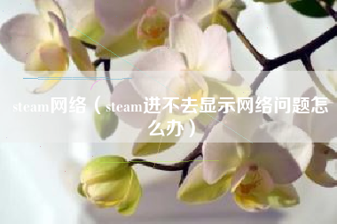 steam网络（steam进不去显示网络问题怎么办）