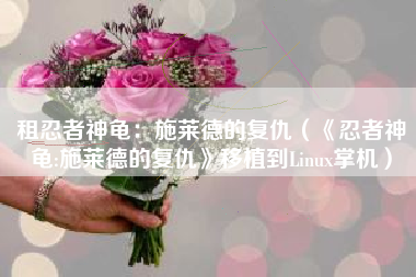 租忍者神龟：施莱德的复仇（《忍者神龟:施莱德的复仇》移植到Linux掌机）