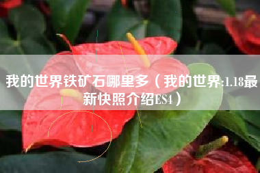 我的世界铁矿石哪里多（我的世界:1.18最新快照介绍ES4）