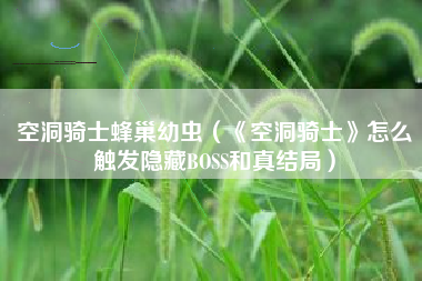 空洞骑士蜂巢幼虫（《空洞骑士》怎么触发隐藏BOSS和真结局）