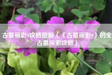 古墓丽影9攻略图解（《古墓丽影9》的全古墓探索攻略）