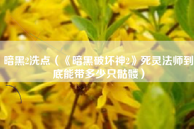暗黑2洗点（《暗黑破坏神2》死灵法师到底能带多少只骷髅）