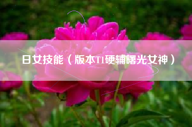 日女技能（版本T1硬辅曙光女神）