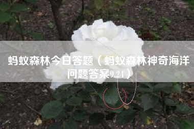 蚂蚁森林今日答题（蚂蚁森林神奇海洋问题答案9.24）