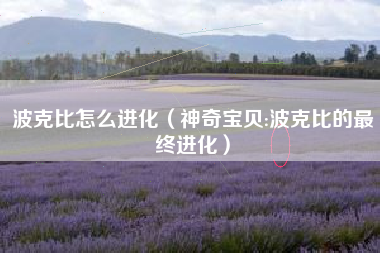 波克比怎么进化（神奇宝贝:波克比的最终进化）