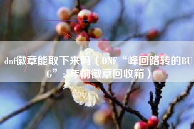 dnf徽章能取下来吗（DNF“峰回路转的BUG”:4年前徽章回收箱）