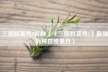 三国群英传8兵种（《三国群英传8》最强兵种首推象兵）