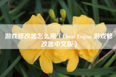 游戏修改器怎么用（Cheat Engine 游戏修改器中文版）