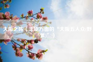 大阪之阵（丰臣方面的“大阪五人众(野爹)”）